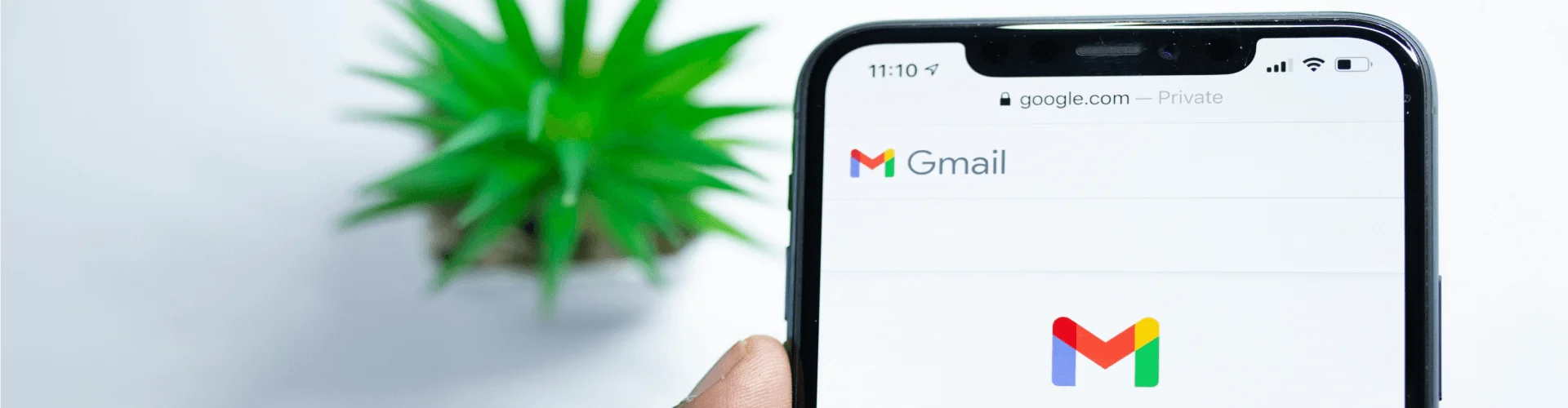 Effective email marketing campaign detailed