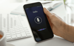 Voice search optimization feature